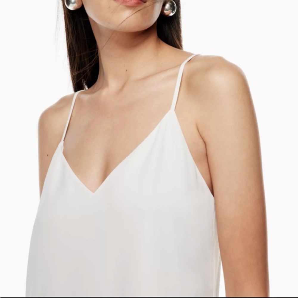 Aritzia Babaton Everly Camisole